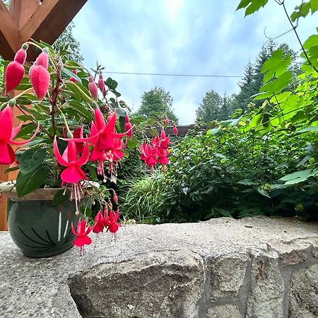 Villa Zielona Roza Wambierzyce Esterno foto