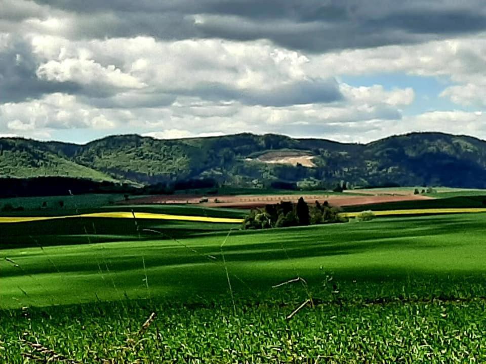 Villa Zielona Roza Wambierzyce Esterno foto