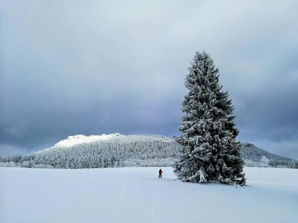Villa Zielona Roza Wambierzyce Esterno foto
