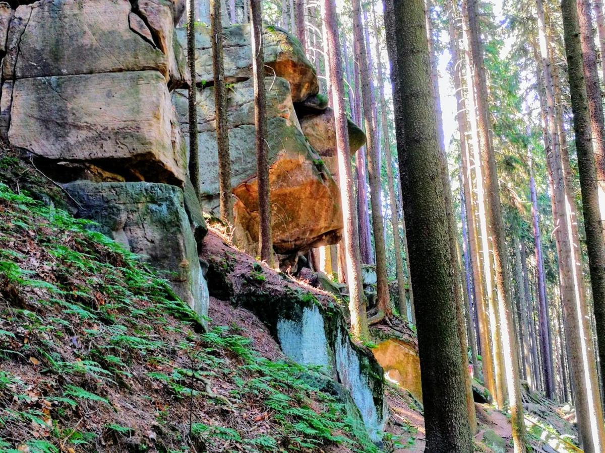 Villa Zielona Roza Wambierzyce Esterno foto