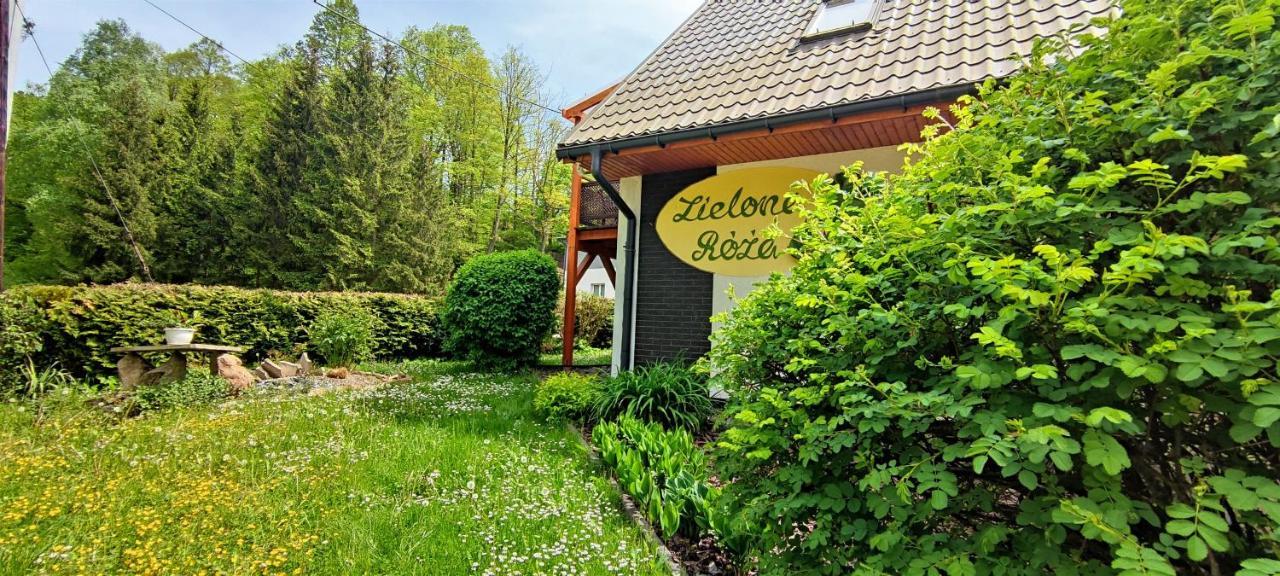 Villa Zielona Roza Wambierzyce Esterno foto