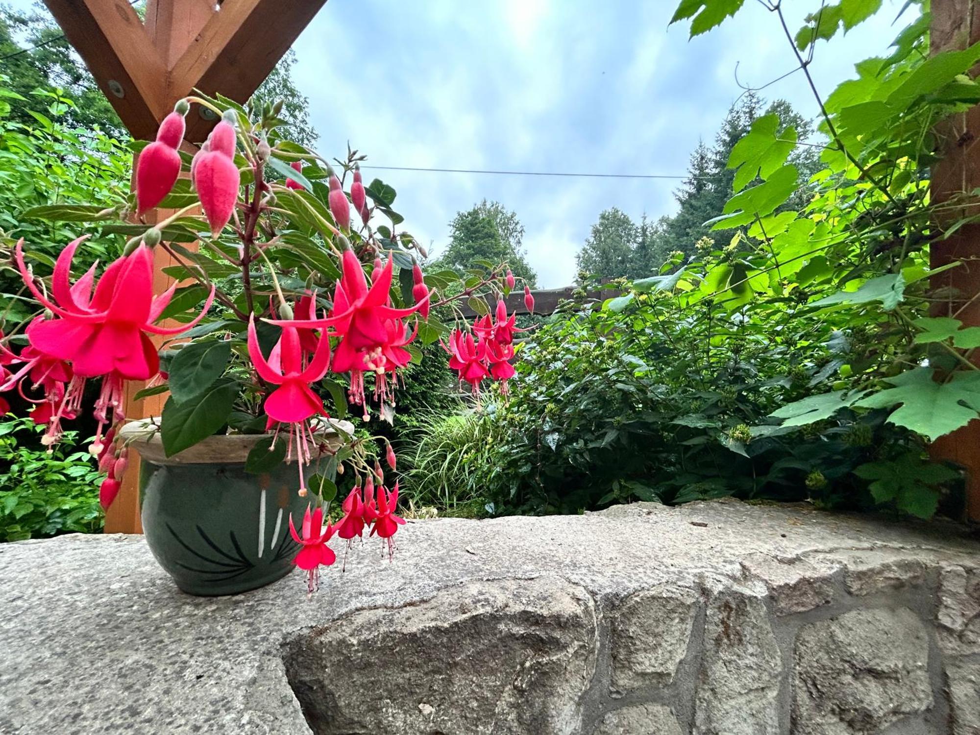 Villa Zielona Roza Wambierzyce Esterno foto