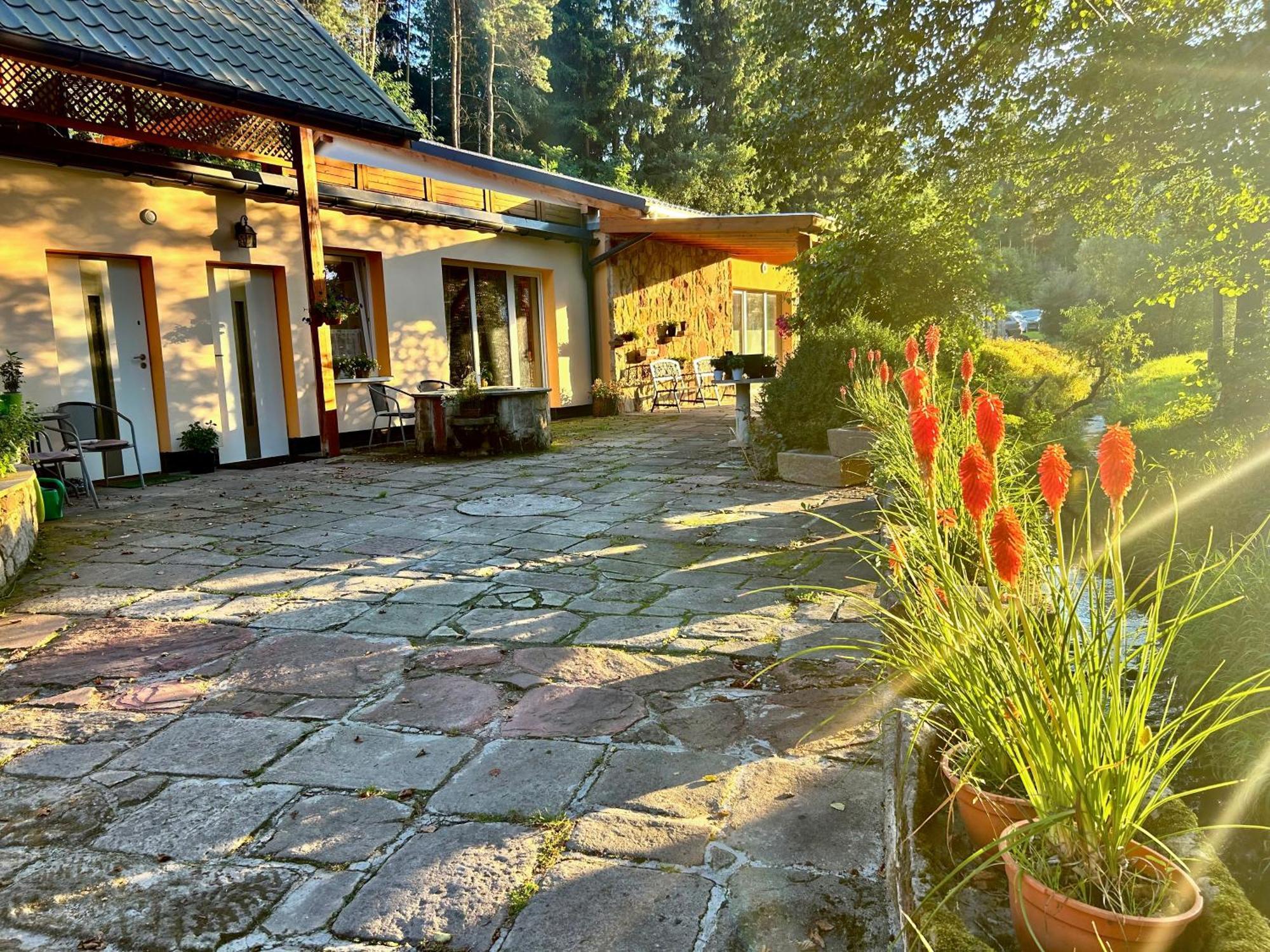 Villa Zielona Roza Wambierzyce Esterno foto